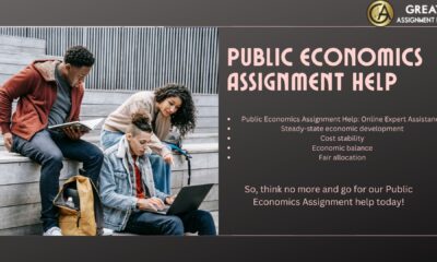 Public Economics Assignment help